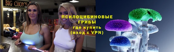 амф Алексин