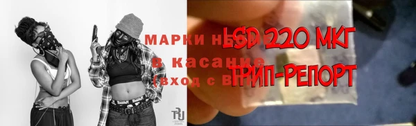амф Алексин