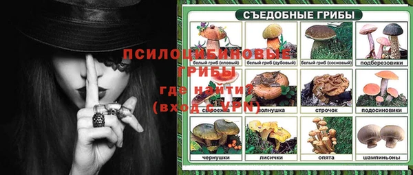 прущая мука Алзамай
