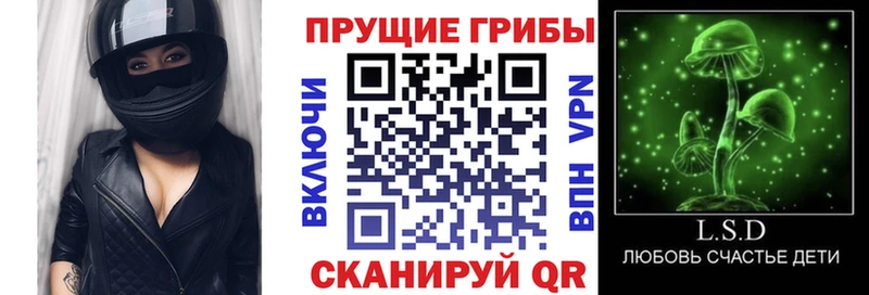 Псилоцибиновые грибы Psilocybine cubensis  Асбест 